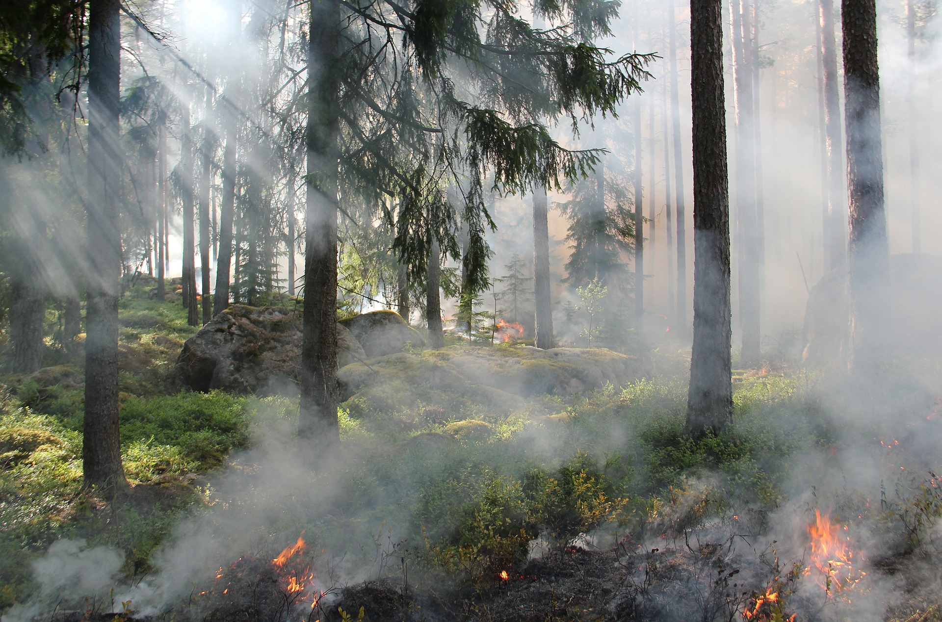  Überwachungsflüge aufgrund drohender Waldbrandgefahr im Landkreis PAF