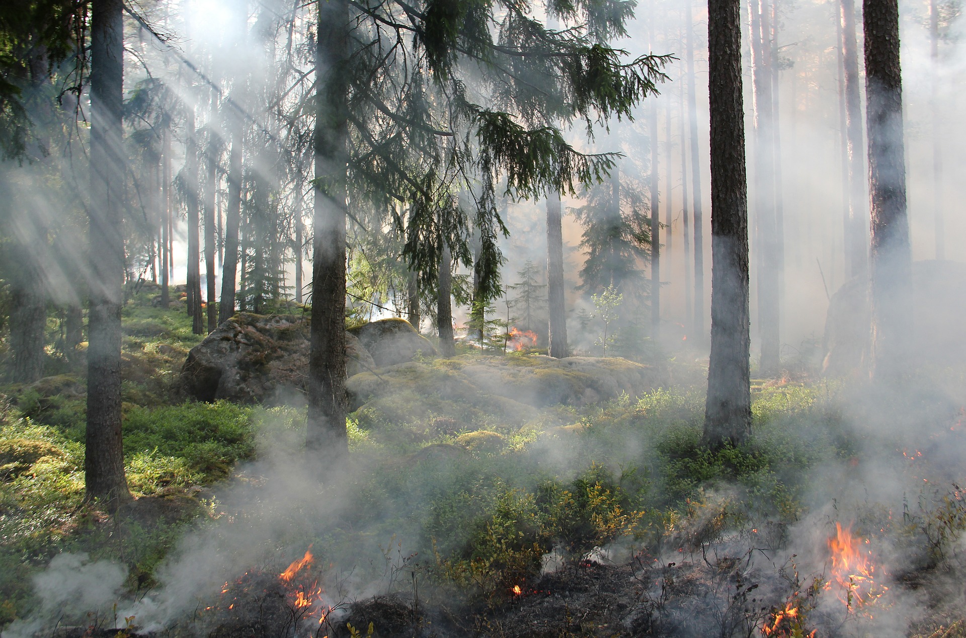 Überwachungsflüge aufgrund erhöhter Waldbrandgefahr im Landkreis 