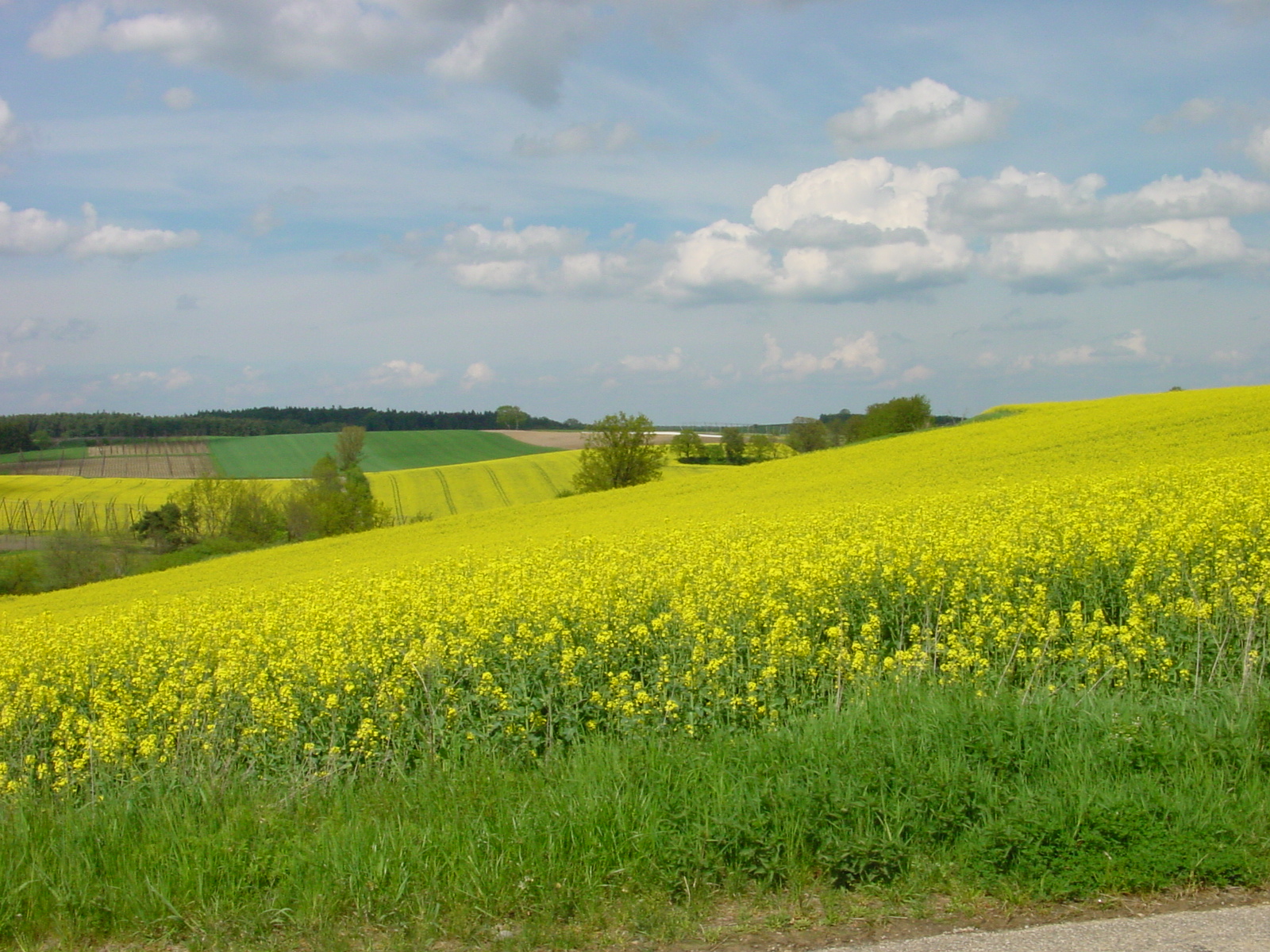 Leider haben wir keinen Alternativtext zu diesem Bild, aber wir arbeiten daran.