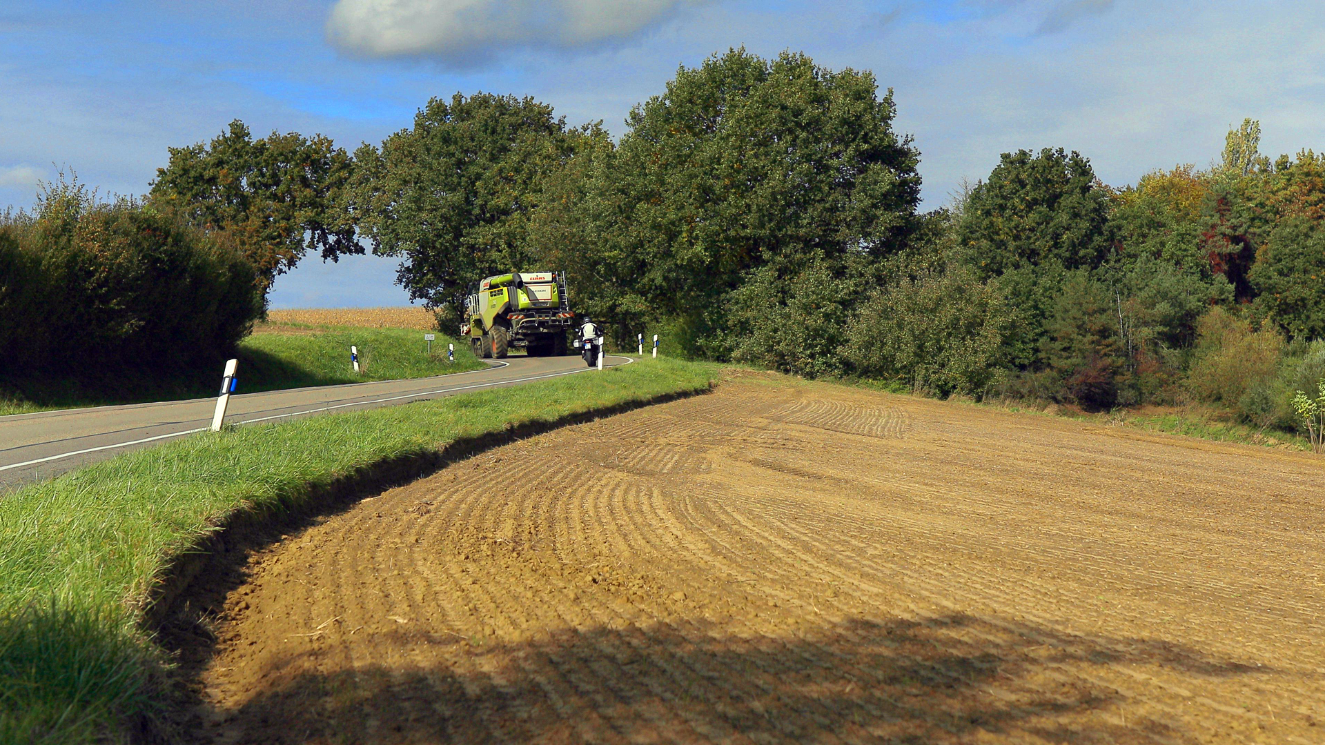 Eingesäte Straßenbegleitfläche