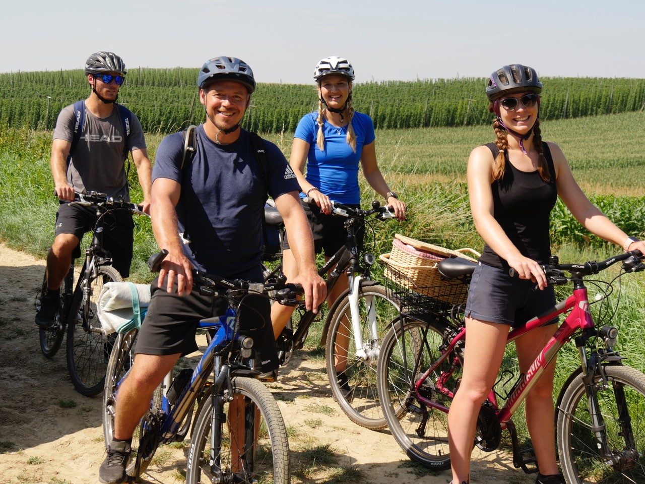 Im Film werden vier junge Leute mit der Kamera auf einer Radtour durch die Holledau begleitet – auf der Spur des bayerischen Hopfens.