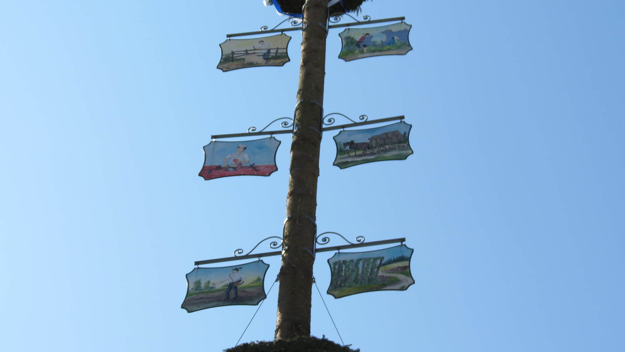 Nach Corona-Pause: Heuer dürfen wieder Maibäume aufgestellt werden