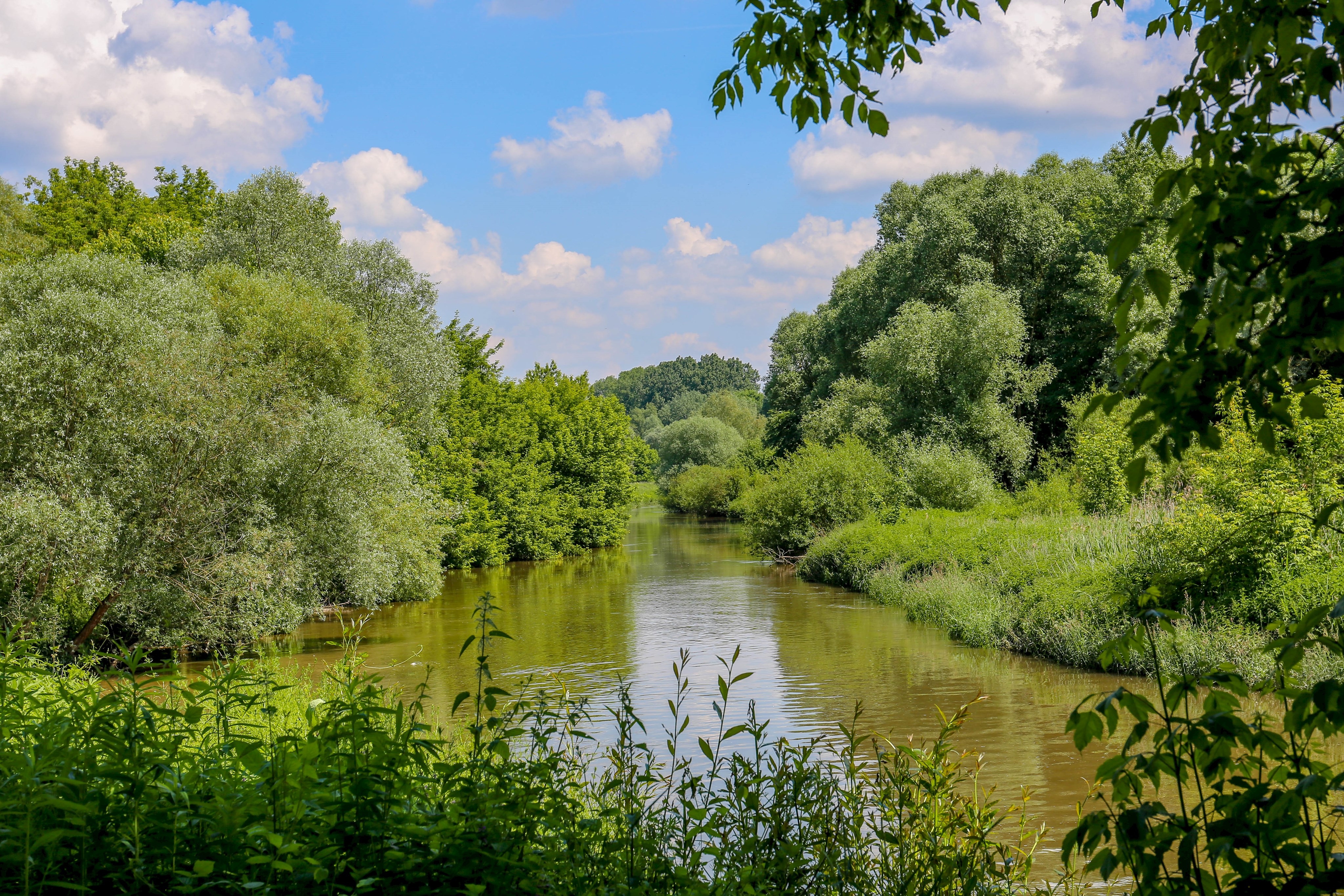 Donauauen Vohburg