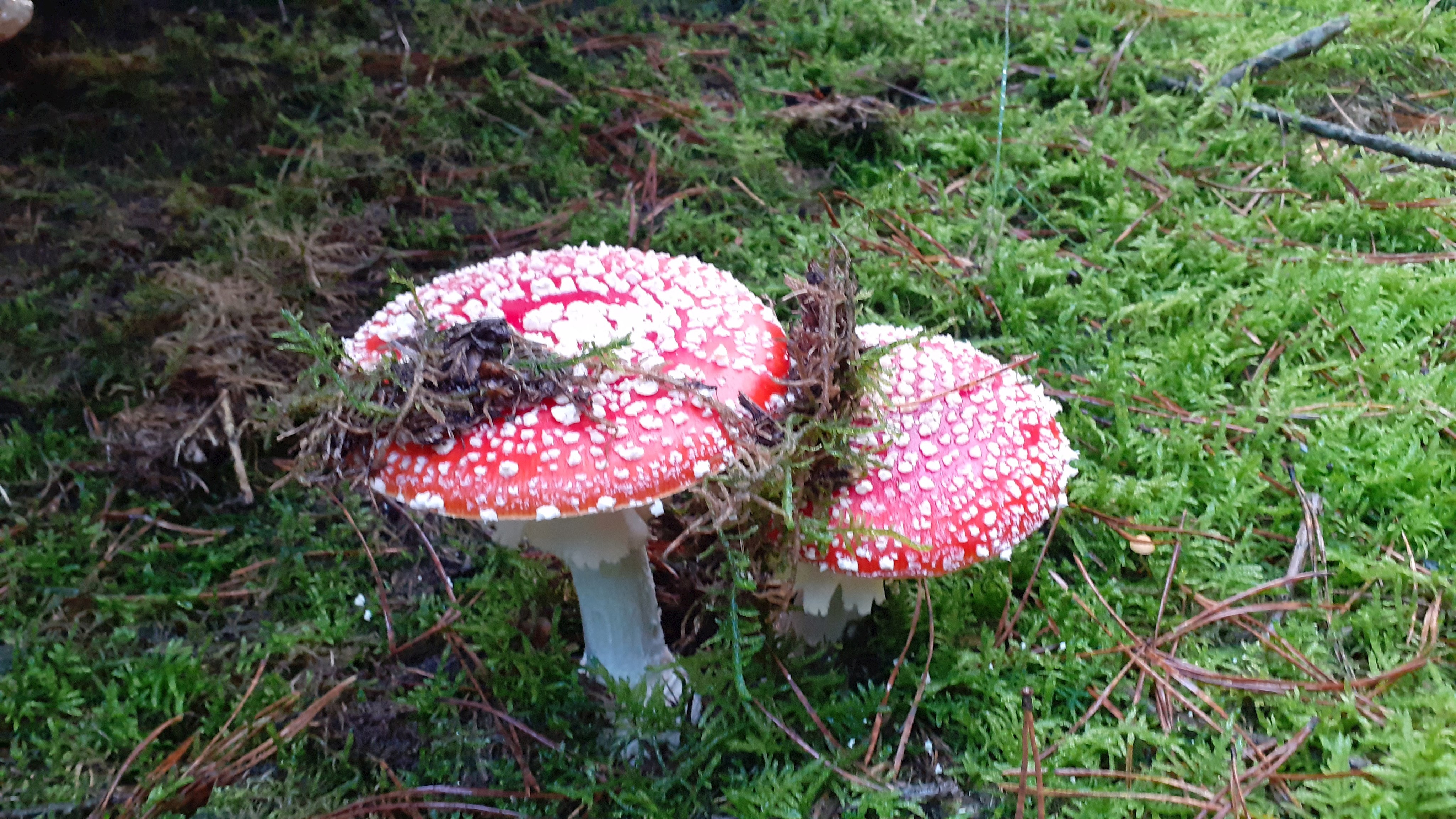 Tipps für die Herbstferien im Landkreis Pfaffenhofen