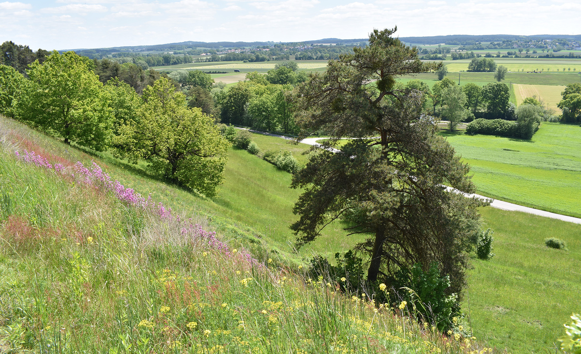 Landwirtschaft und Naturschutz? Unsere Landwirte packen mit an