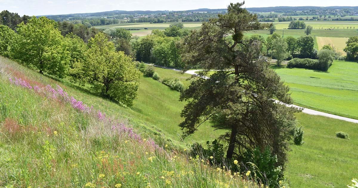 Landwirtschaft und Naturschutz? Unsere Landwirte packen mit an