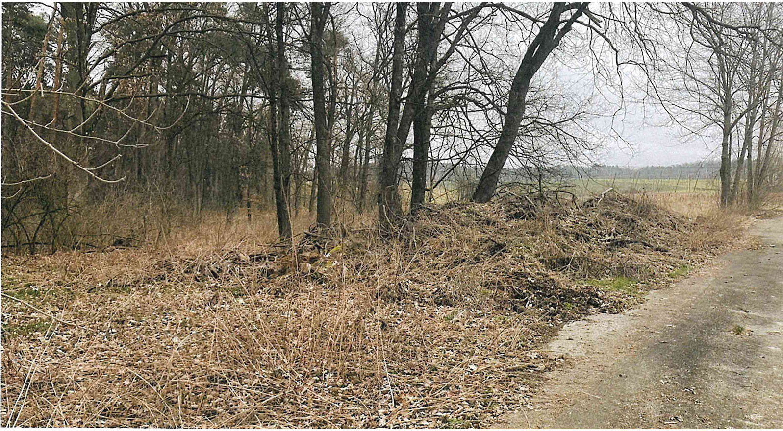 Ablagerungen am Bahnerberg