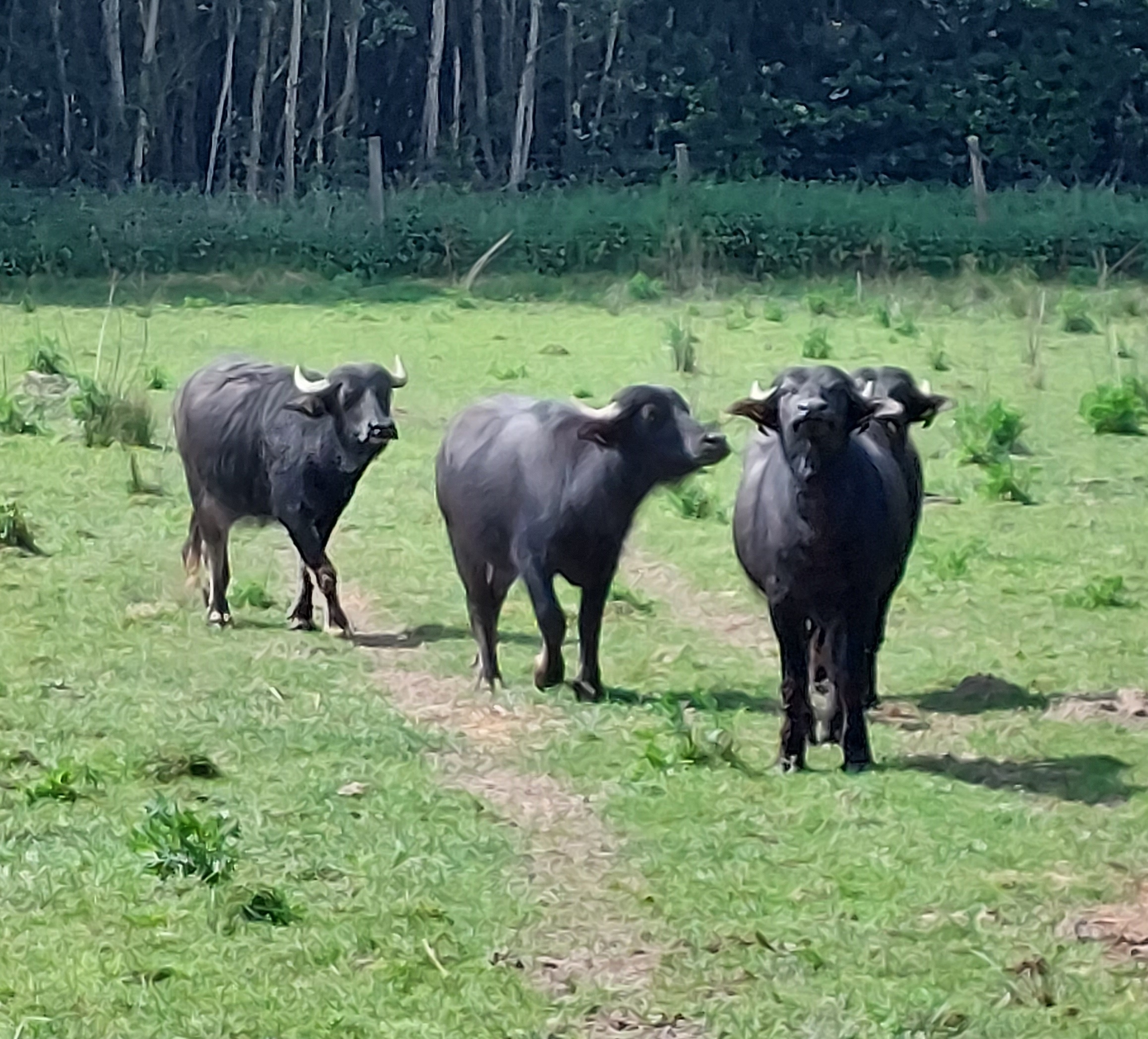 Landschaftspflegeverband Pfaffenhofen bei Jahreshauptversammlung