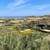 Gozo