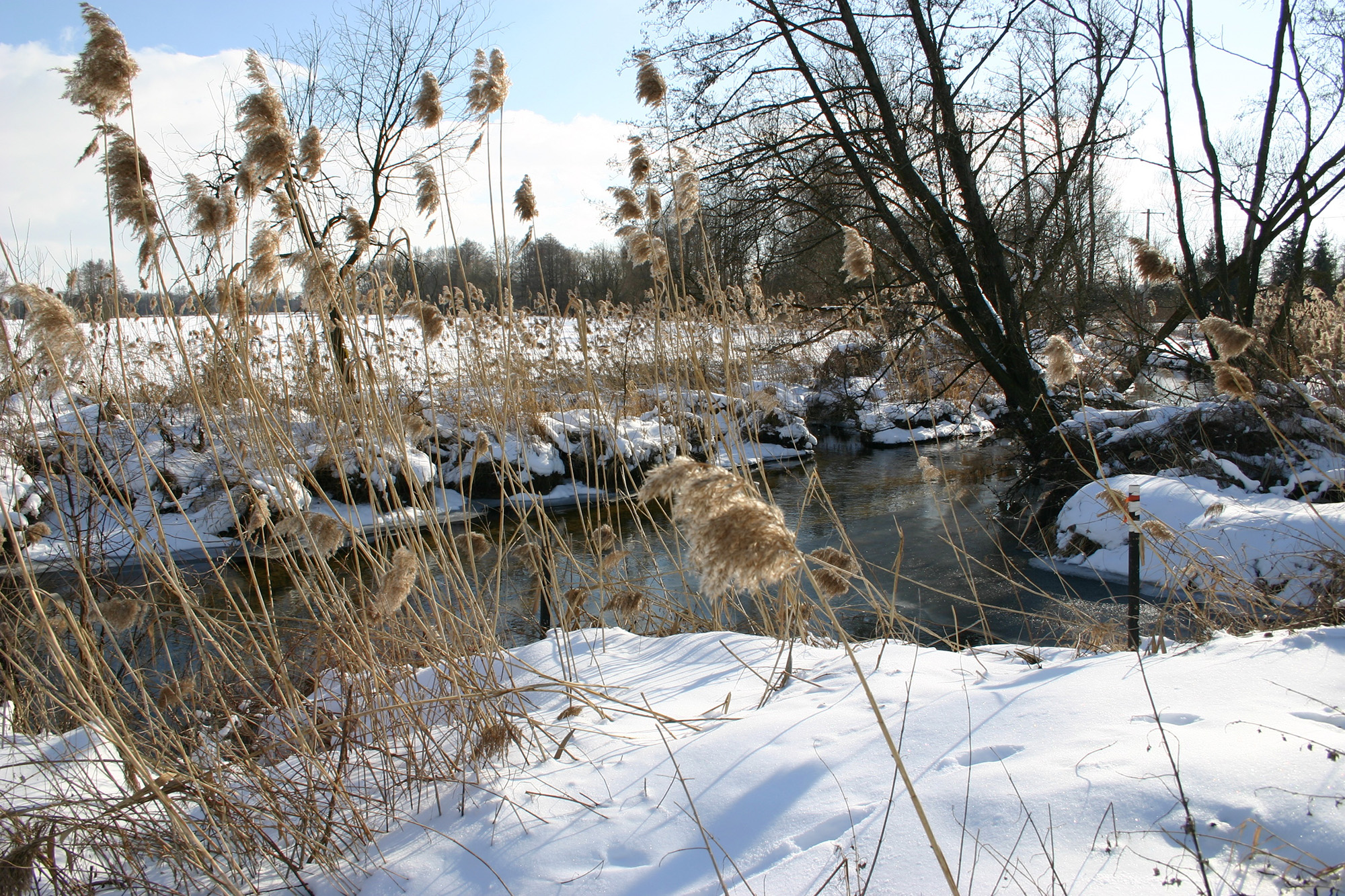 Wellenbach im Winter