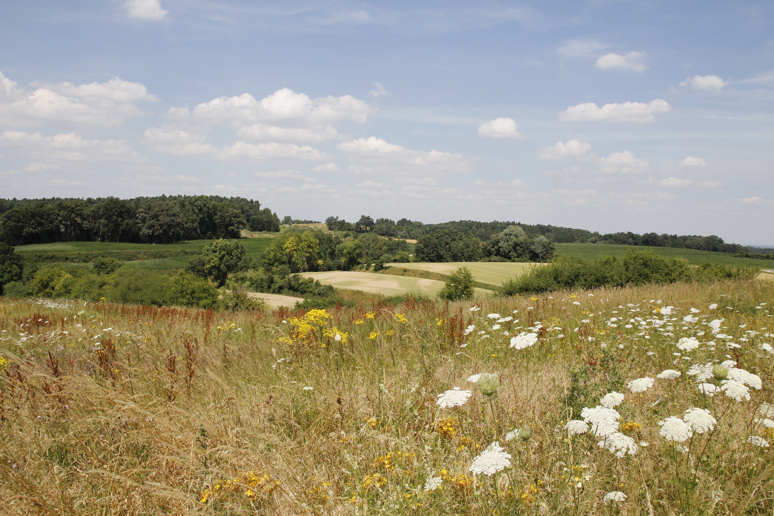 Landschaft Freinhausen