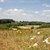 Landschaft Freinhausen Landschaft Freinhausen