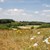 Landschaft Freinhausen