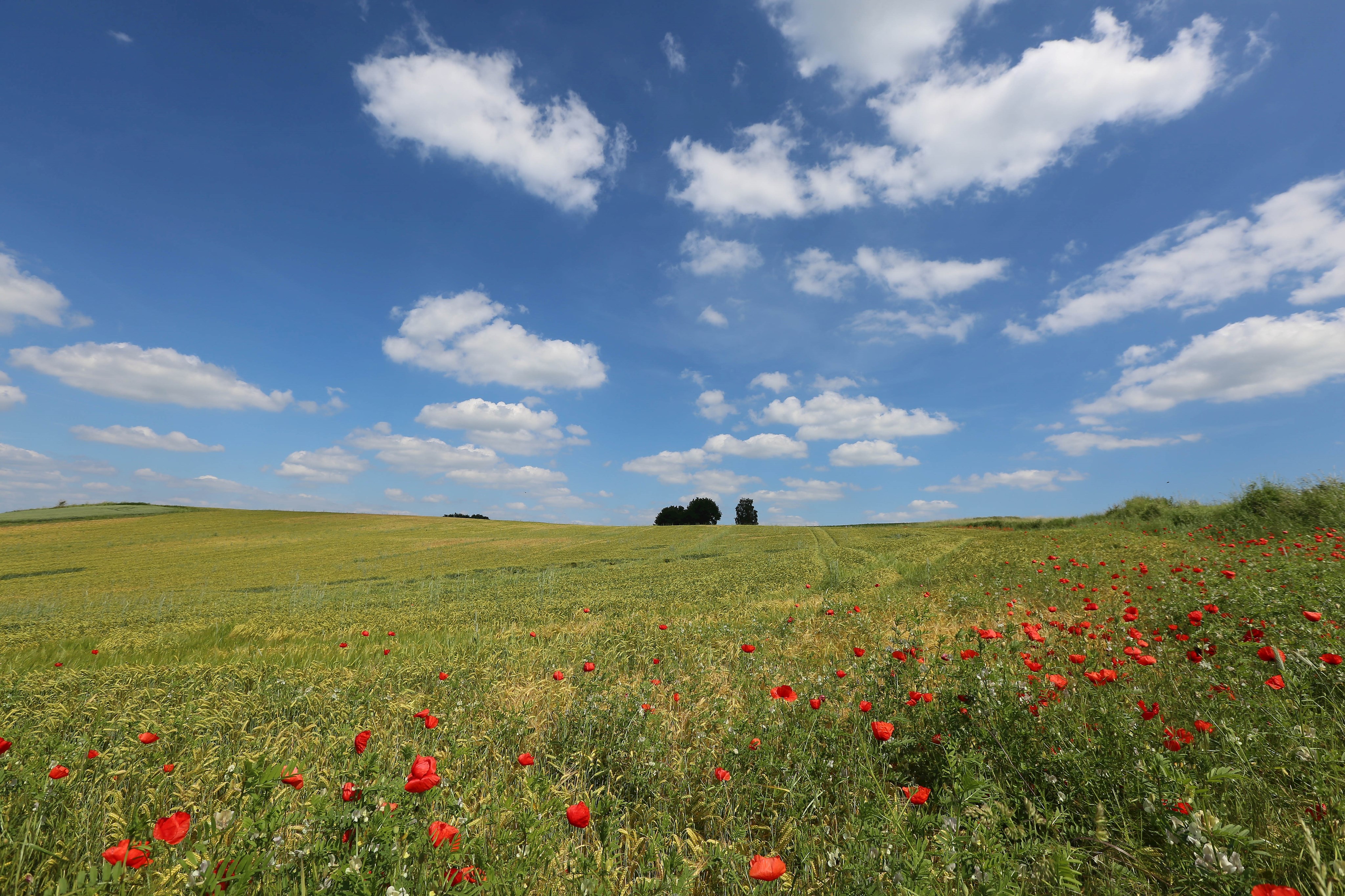 Rohrbach Landschaft