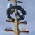 ein Maibaum