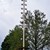 ein Maibaum