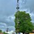 ein Maibaum