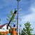 ein Maibaum