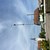 ein Maibaum
