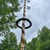 ein Maibaum