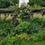 Garten mit Pergula