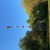 ein Maibaum