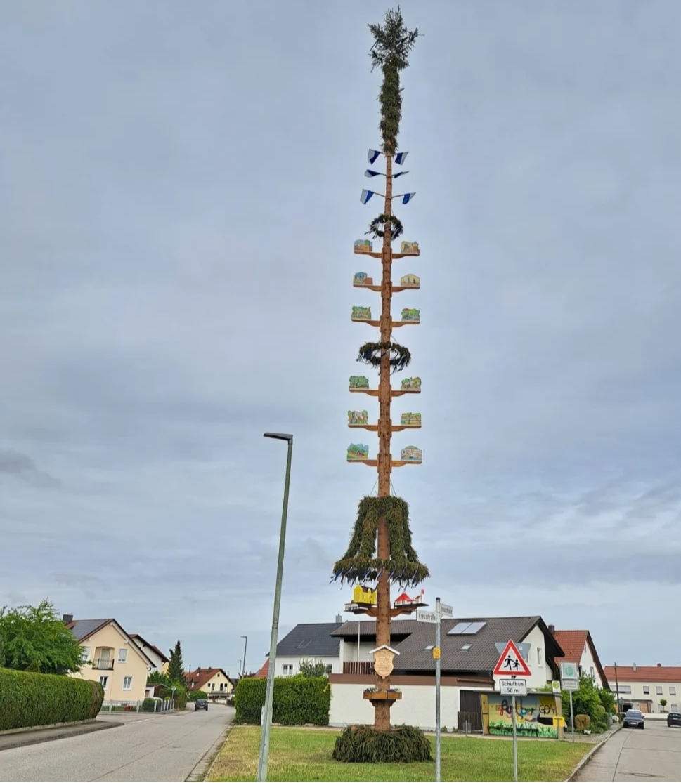 Maibaum Dorfgemeinschaft Agelsberg
