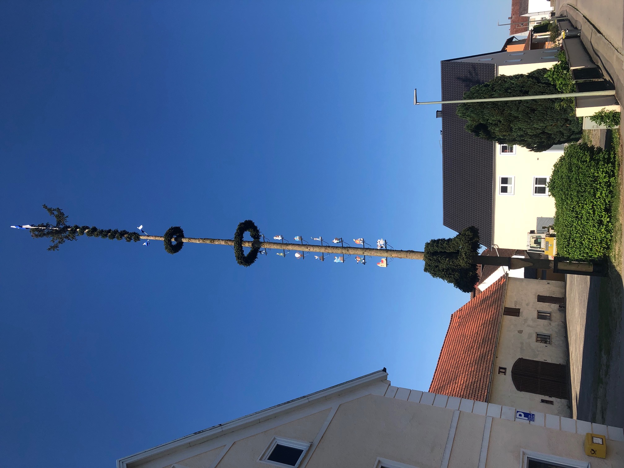 Maibaum Dorfgemeinschaft Hög