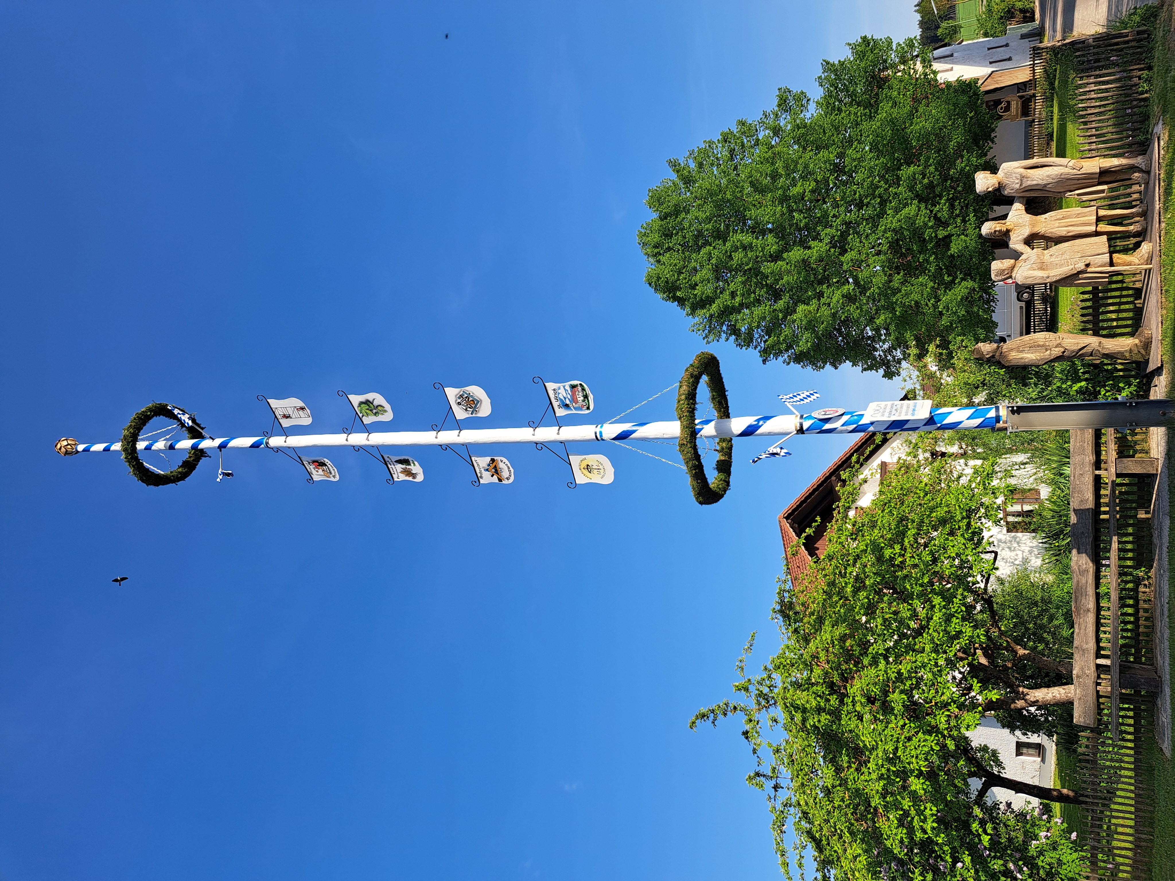 Maibaum Dorfgemeinschaft Holzhausen