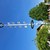 ein Maibaum