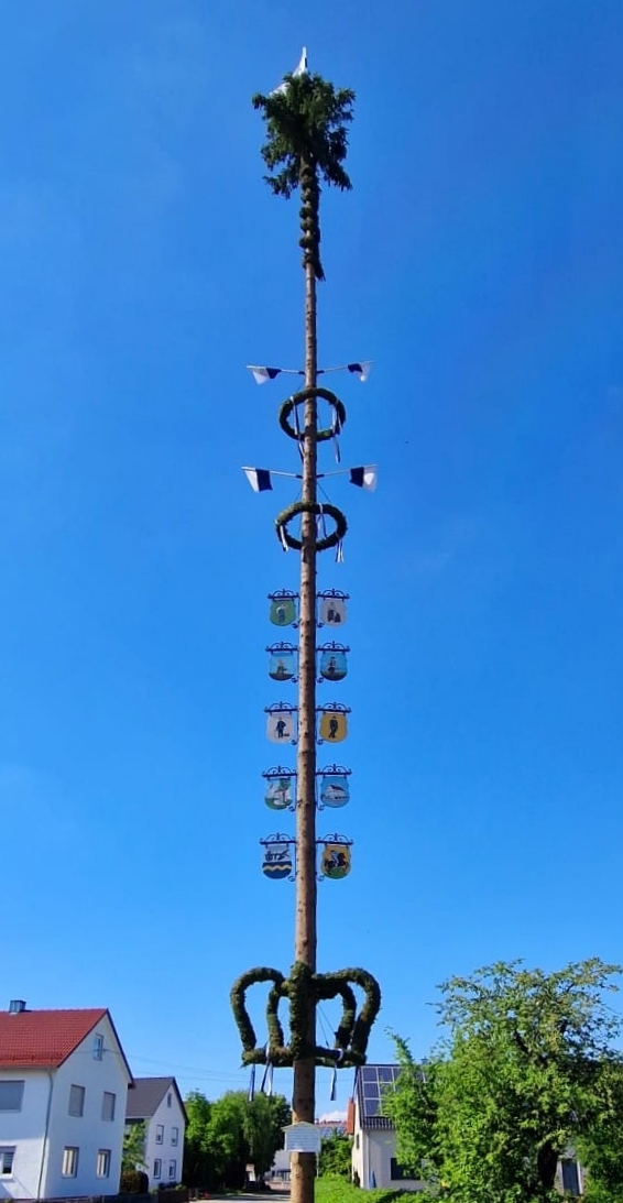 Gewinner per Losentscheid: Maibaum FFW Deimhausen