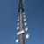 ein Maibaum