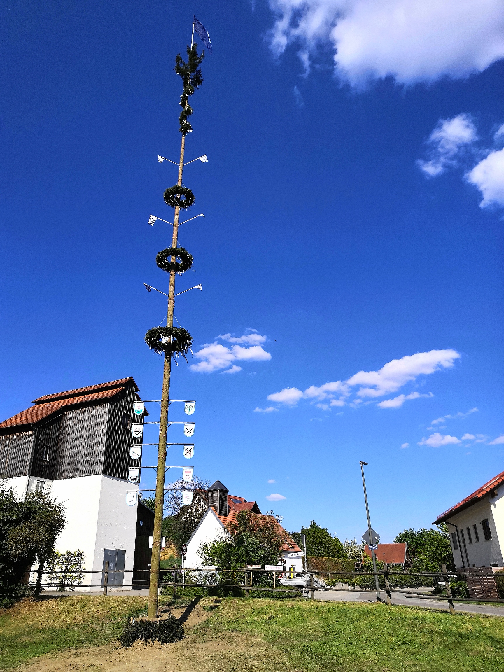 Maibaum FFW Waal