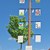 ein Maibaum