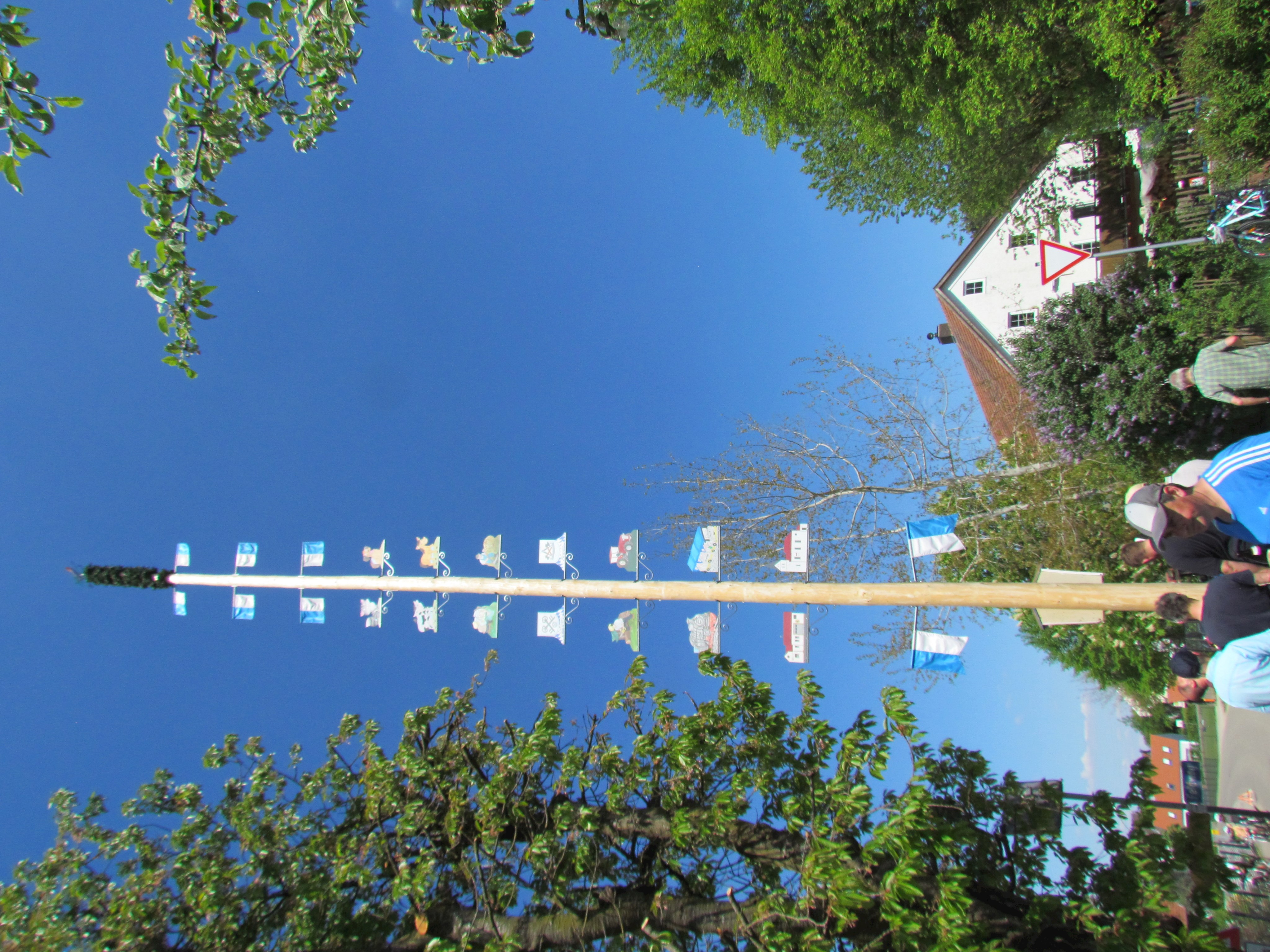 Maibaum Maibaumfreunde Paindorf
