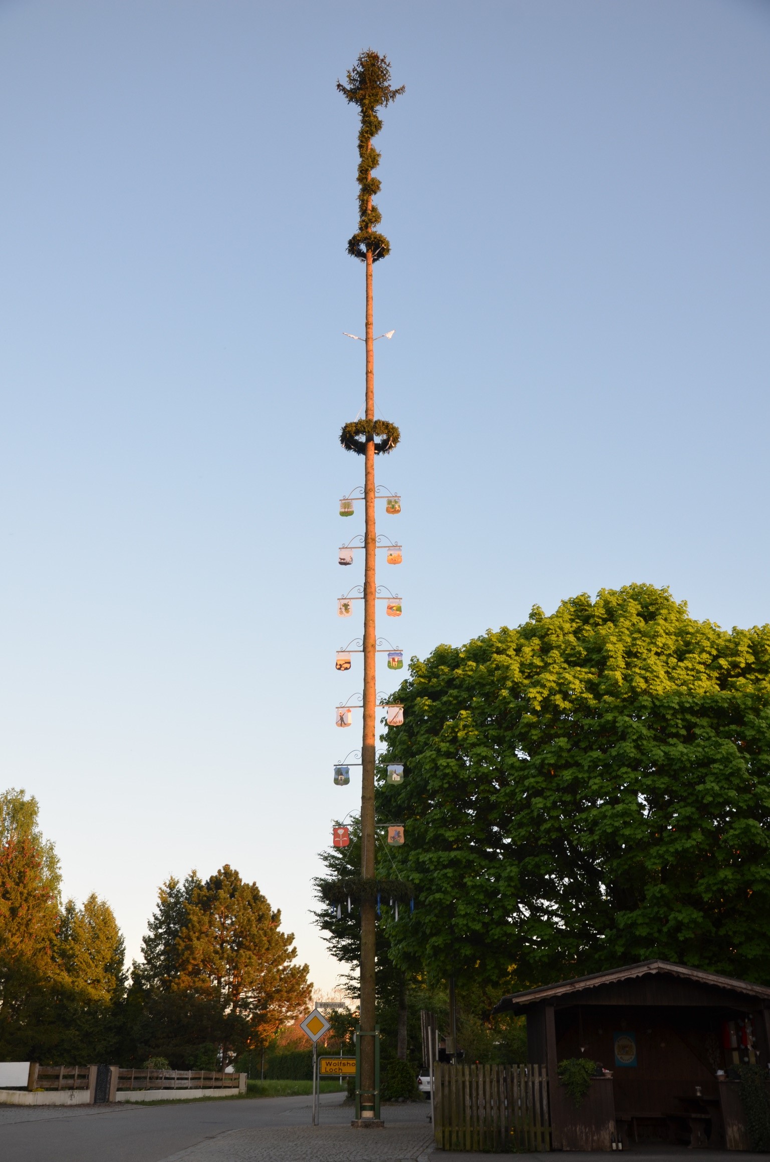 Maibaum Maibaumverein Koppenbach