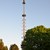 ein Maibaum