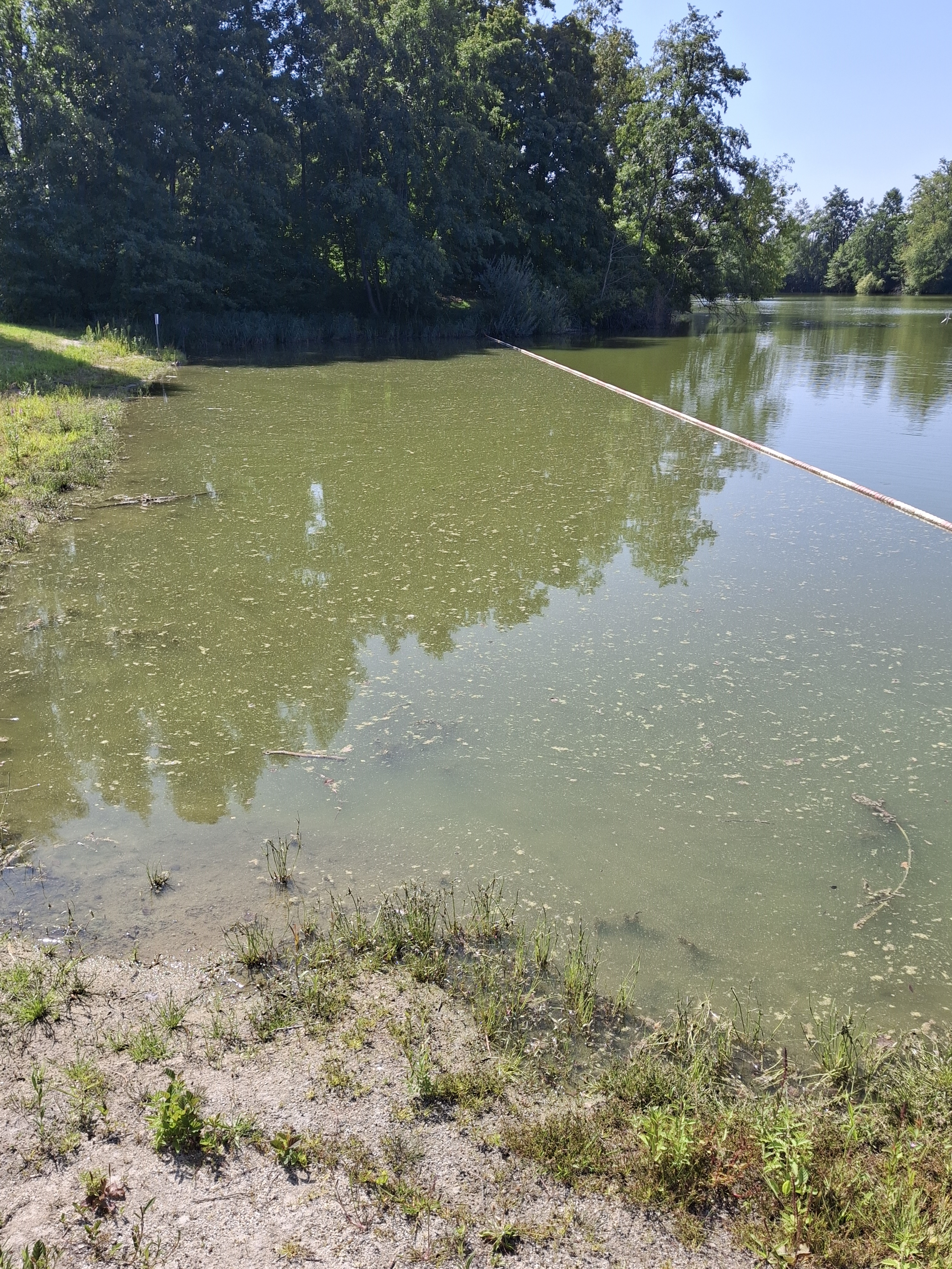 Badeverbot für den Ebenhausener Weiher bleibt