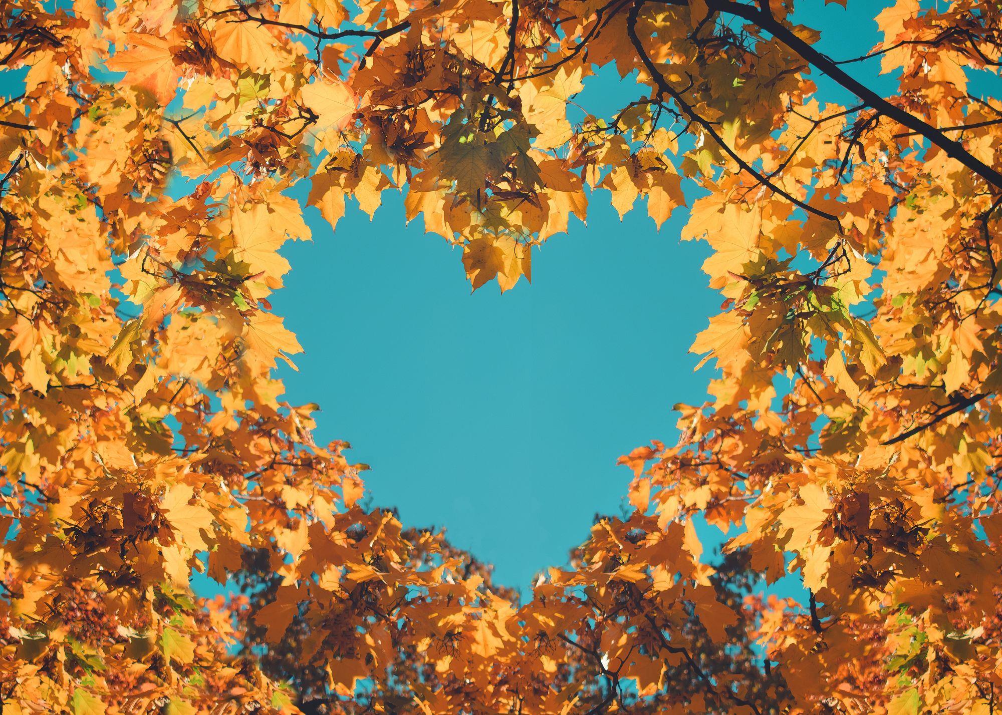 Herbstblätter