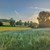 eine Landschaft, eine Wiese mit Bäumen