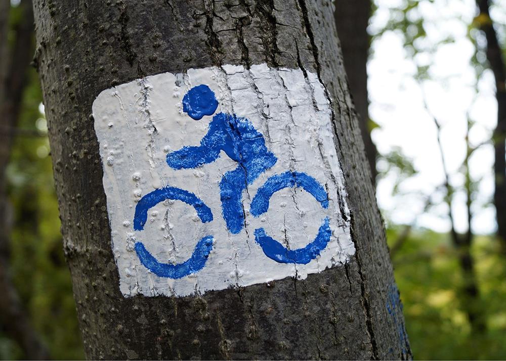 Symbolbild: Neue Radverkehrskonzepte im Landkreis