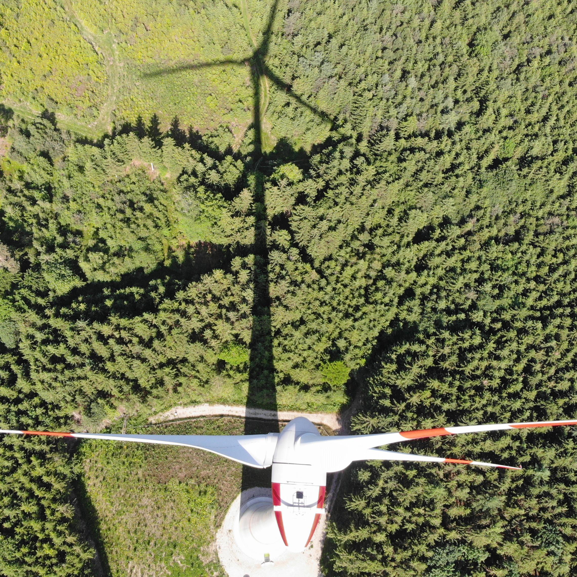 Schattenwurf einer Windenergieanlage