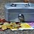 ein Geld und Geldkassette 