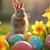 Ostereier und ein Osterhase