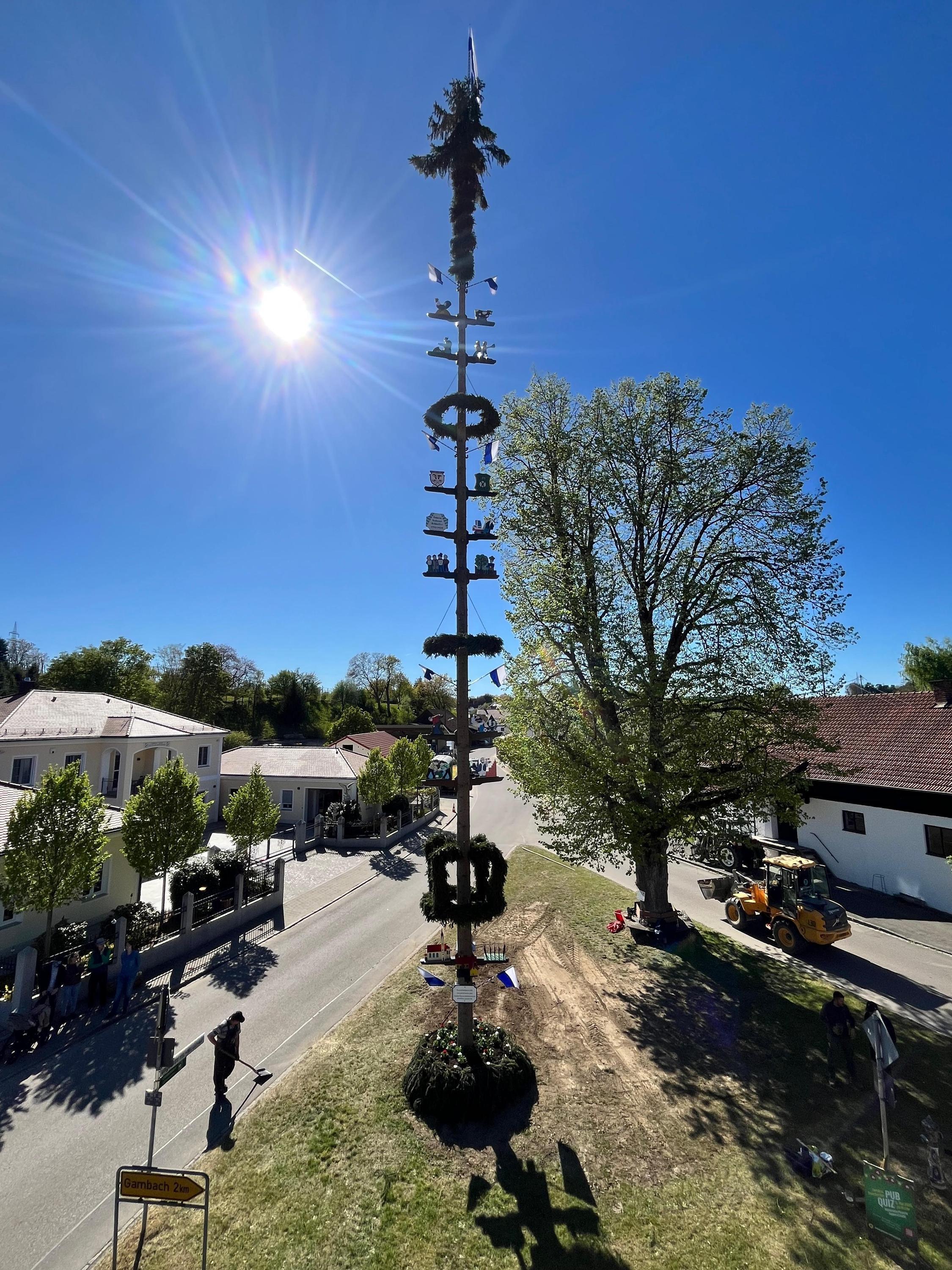 ein Maibaum