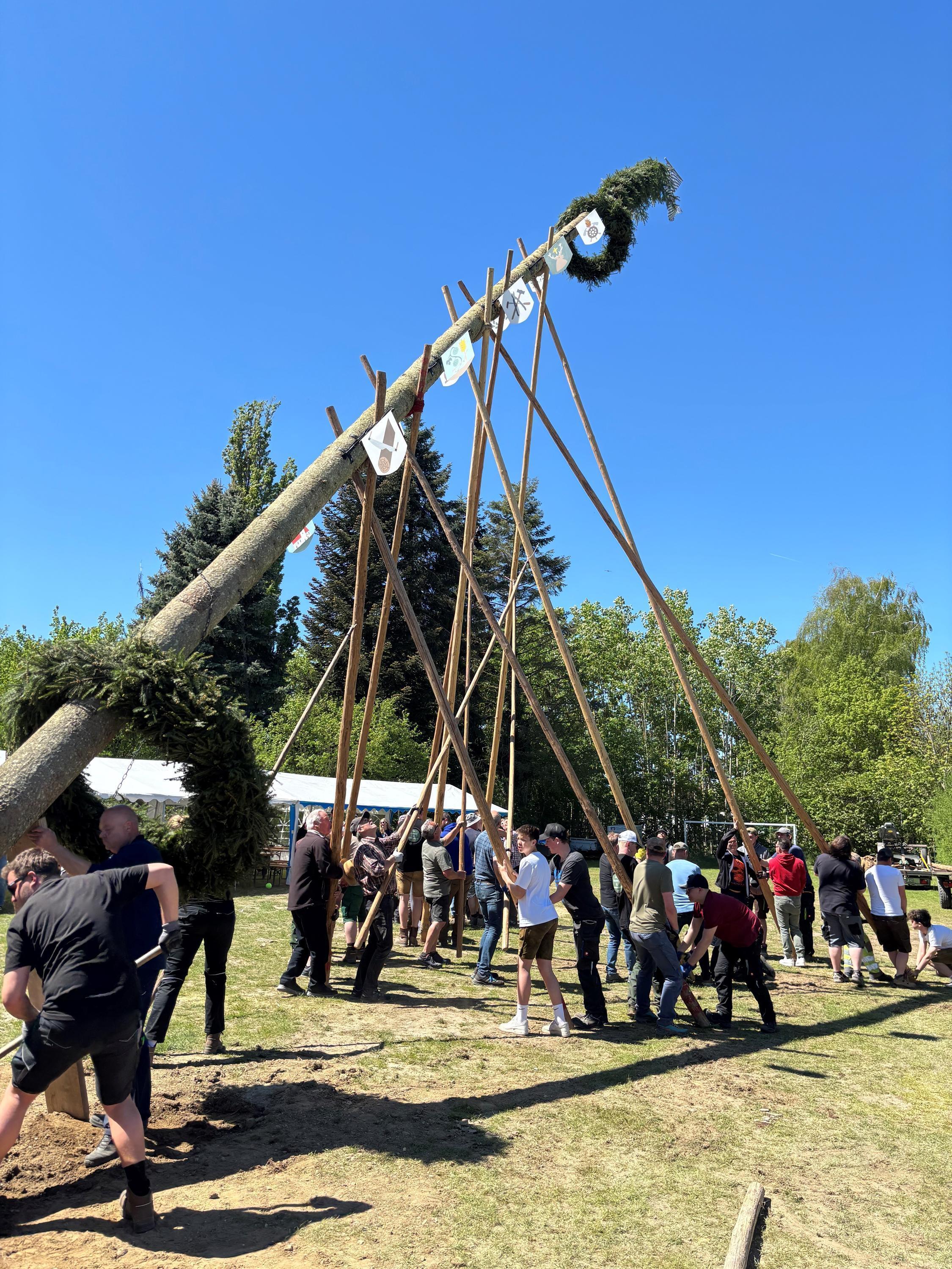 ein Maibaum