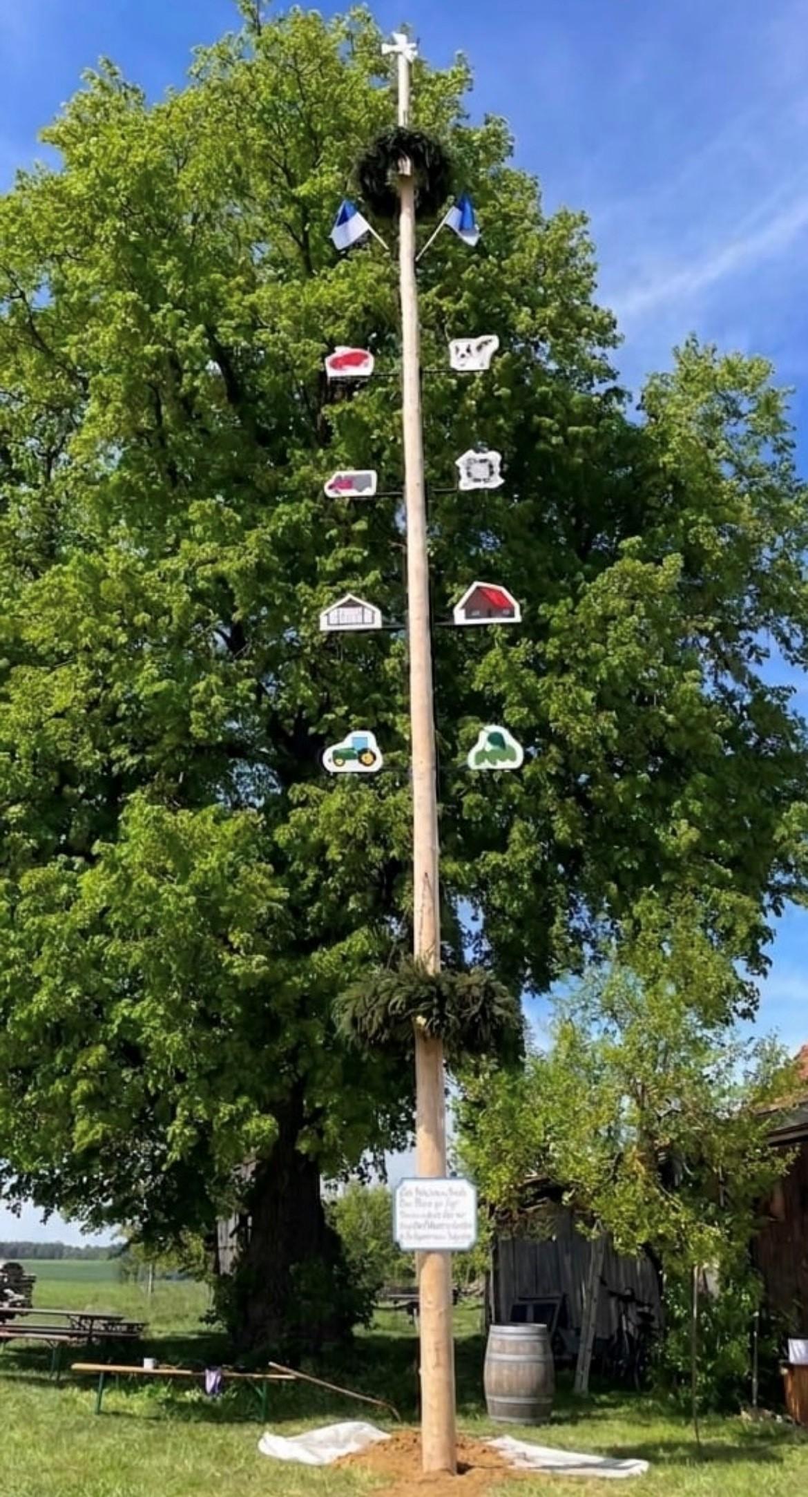 ein Maibaum