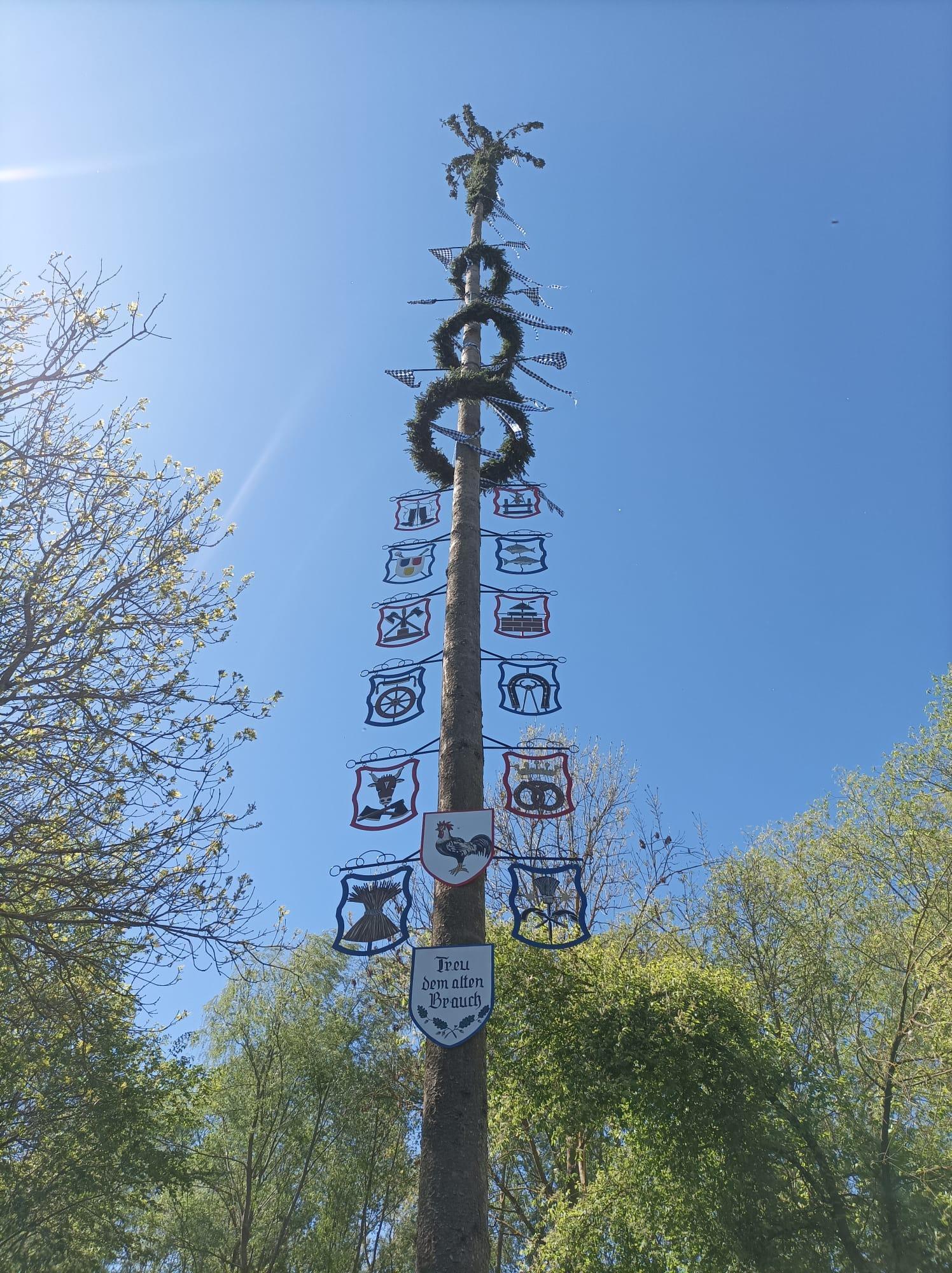 ein Maibaum