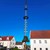 ein Maibaum