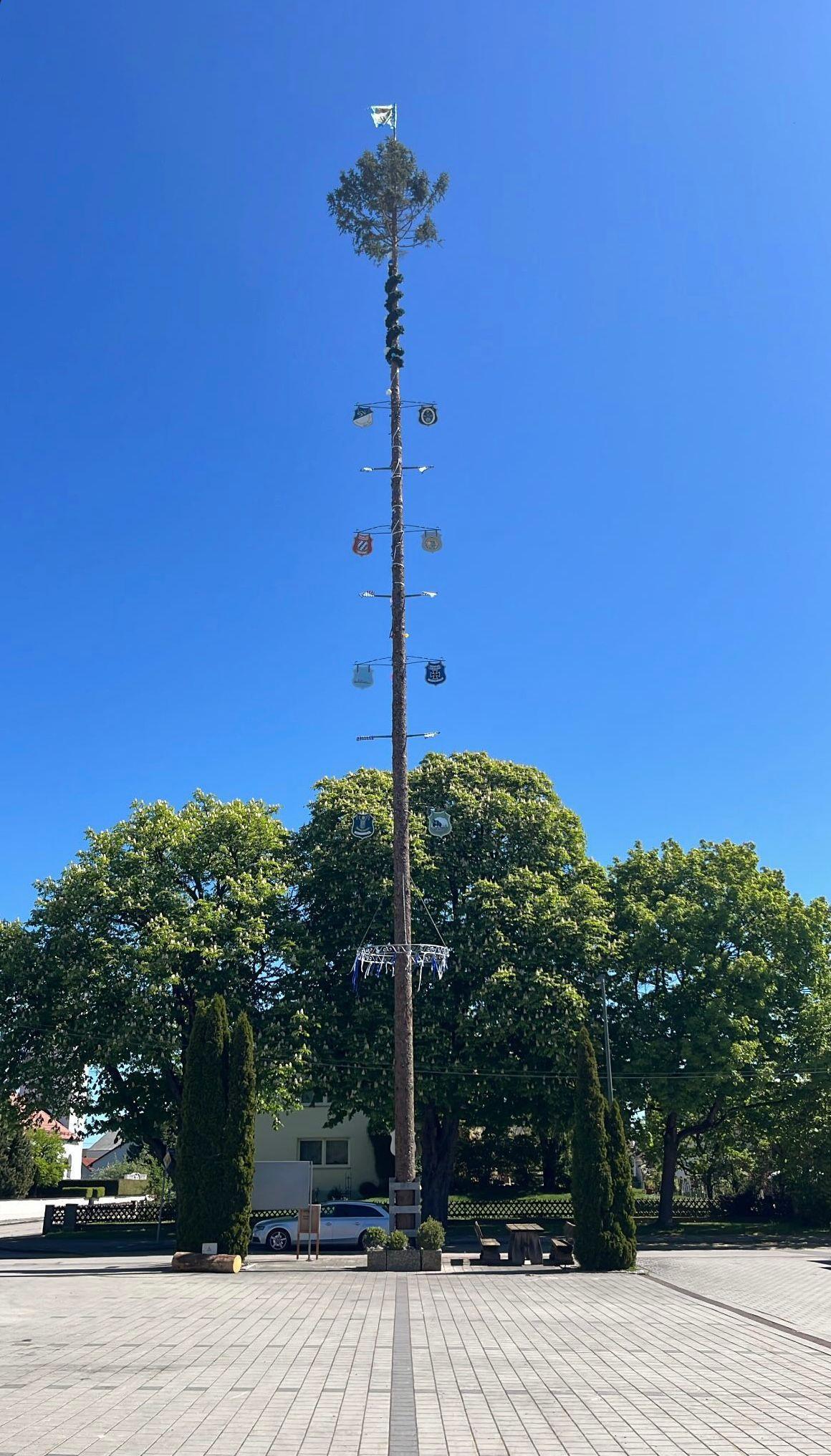 ein Maibaum